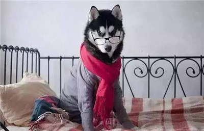 ӰʦΪ֮󣬼ĹѾ滵ˣ