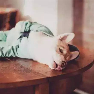 ӰʦΪ֮󣬼ĹѾ滵ˣ