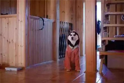 ӰʦΪ֮󣬼ĹѾ滵ˣ