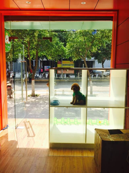 圣宠咸阳杨凌康乐路加盟店