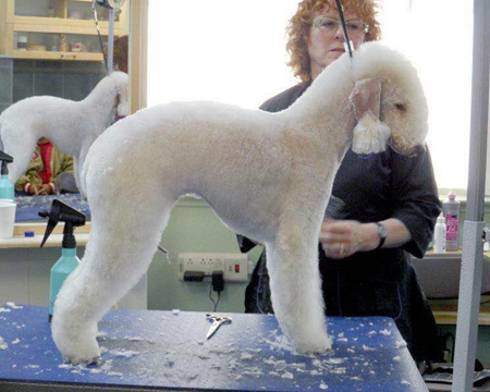 世界杯冠军来了,圣宠名师大讲堂第二季正式开