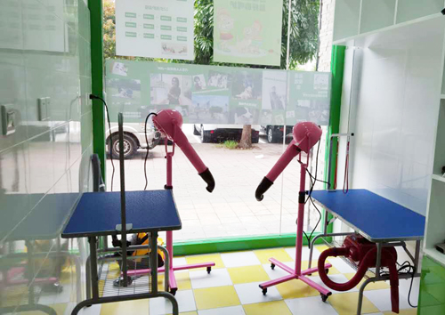 圣宠宠物广州可逸南街连锁店