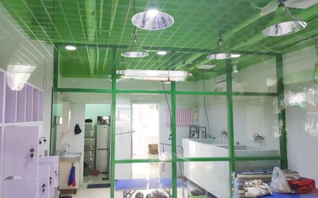 圣宠宠物北京龙锦三街店