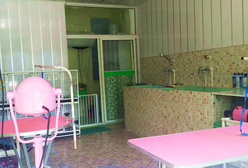 圣宠蚌埠固镇浍河路宠物连锁店