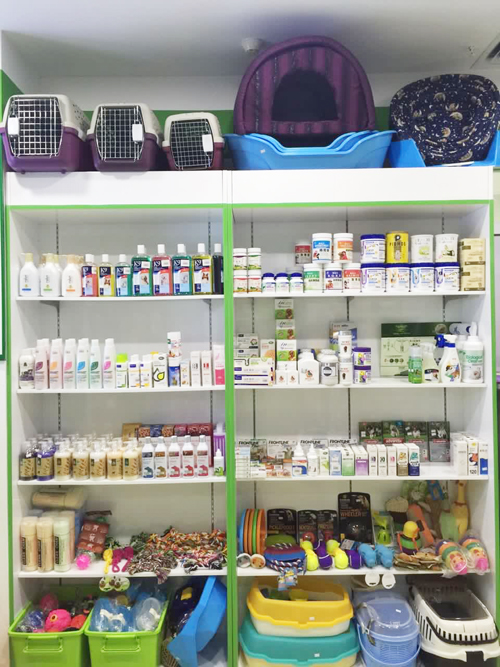 圣宠宠物广州可逸南街宠物连锁店