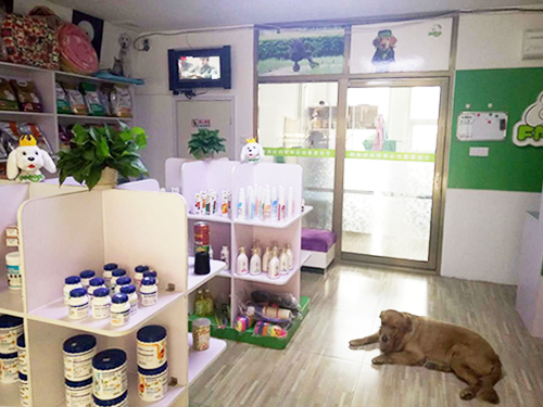 圣宠天津蓟县青山溪语宠物店