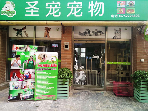 圣宠天津蓟县青山溪语宠物店