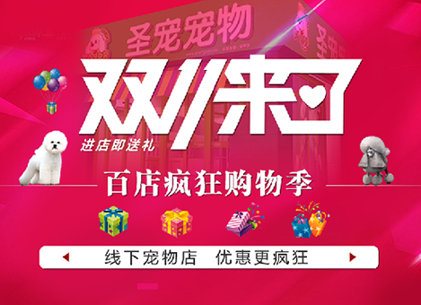 ˫ʮһ���ˣ����°ٵ����＾