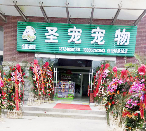 ʥ���������ӡ��ǳ���������