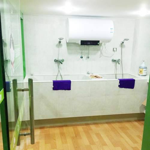 圣宠宠物重庆渝北富悦海沁店