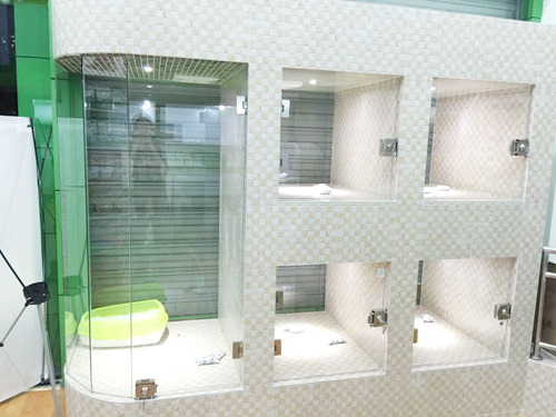 圣宠宠物重庆渝北富悦海沁店