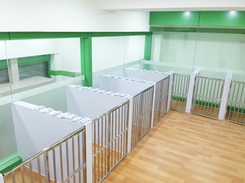 圣宠宠物重庆渝北富悦海沁店