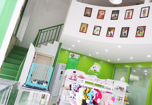 圣宠宠物义乌廿三里店