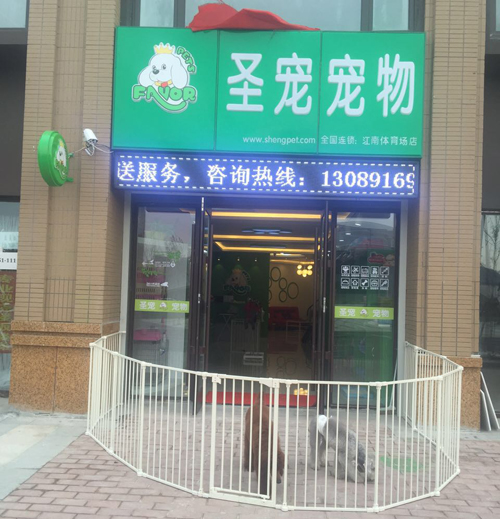【百店推荐】圣宠宠物吉林中海国际店