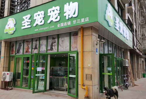 圣宠义乌廿三里宠物店开业优惠