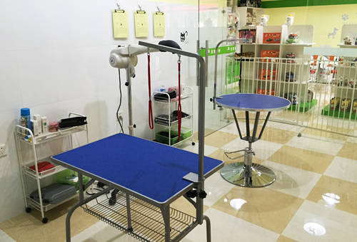 圣宠西安金泰假日花城宠物连锁店