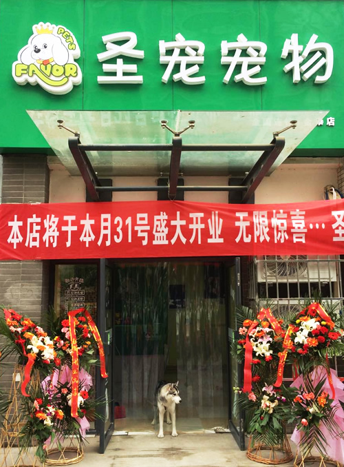圣宠西安金泰假日花城宠物连锁店