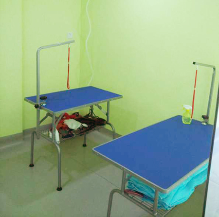 圣宠宠物宿州锦绣江南店