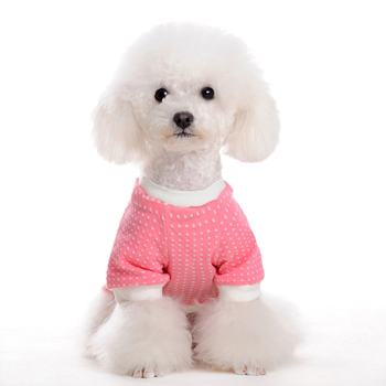 ������ʲô�������Ҫ���·���