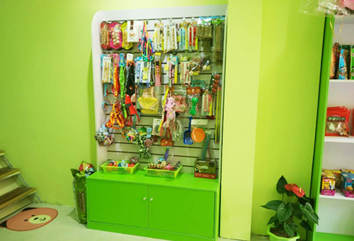 德阳怎么开宠物店赚钱