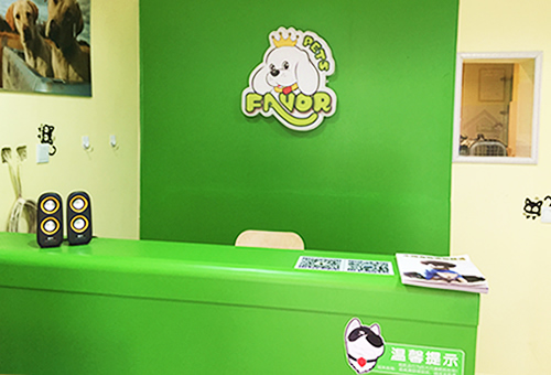 广元开宠物店赚钱吗