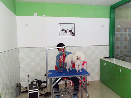 圣宠重庆奥体中心连锁宠物店