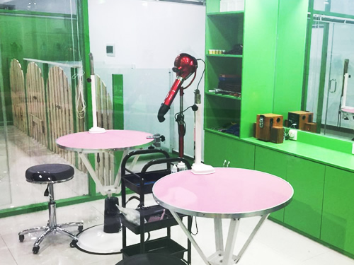 圣宠吉林中海国际连锁宠物店