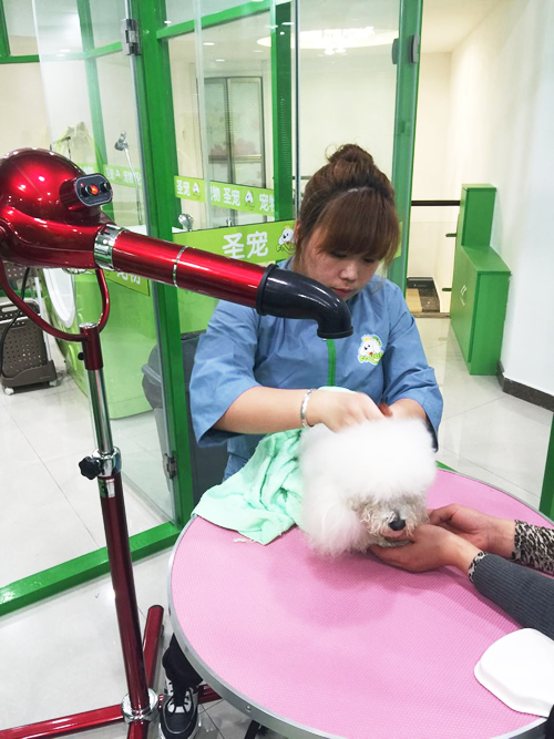 圣宠吉林中海国际连锁宠物店