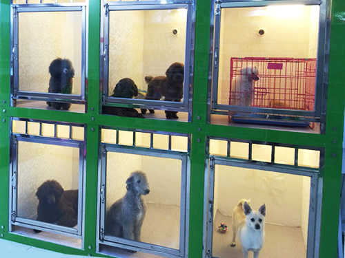 圣宠吉林中海国际连锁宠物店