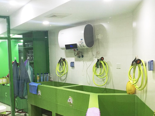 圣宠吉林中海国际连锁宠物店