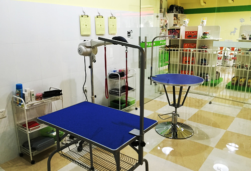 乐山开宠物店如何装修