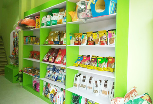 南充创业开宠物店行吗