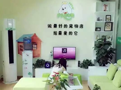 绵阳剑南大道店获得圣宠双十一线下活动资格