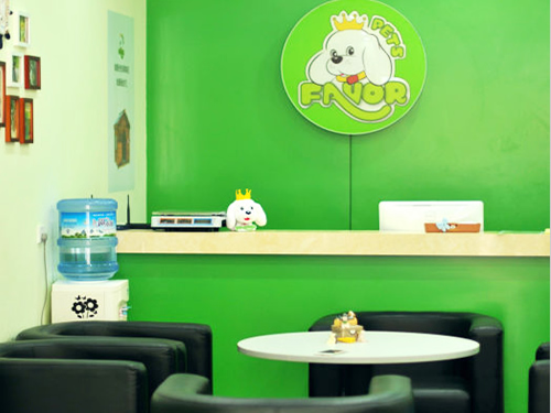 济南鲁能领秀城店成功入选圣宠双十一线下活动