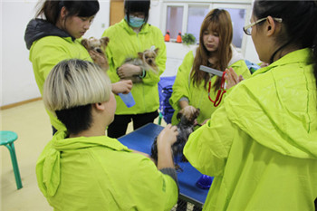 ��ʥ����ѵ����29�ڳ�������ʦ�ۺϰ����SPA�γ�