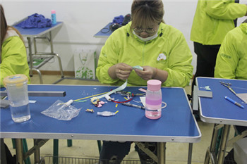 【圣宠培训】第30期班DIY宠物饰品课程