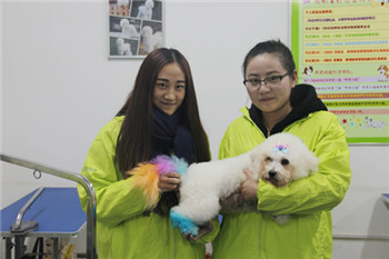 ��ʥ����ѵ����30�ڰ�DIY������Ʒ�γ�