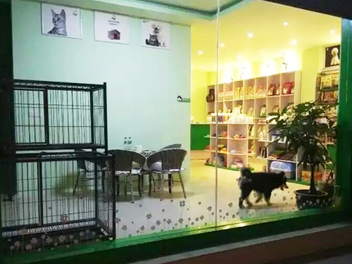 遂宁合伙开宠物店注意事项