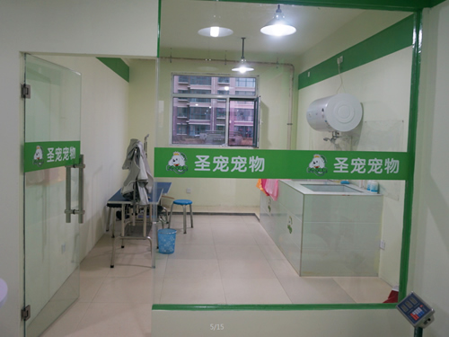 韶关加盟开宠物店怎么样