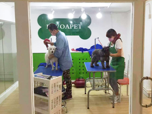 南宁加盟哪个宠物店好