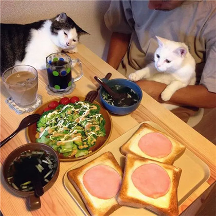 Ĳǲ죬Ҿ㳢òóԶ... ...