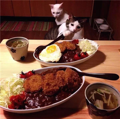 Ĳǲ죬Ҿ㳢òóԶ... ...