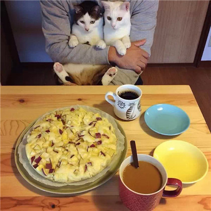 Ĳǲ죬Ҿ㳢òóԶ... ...