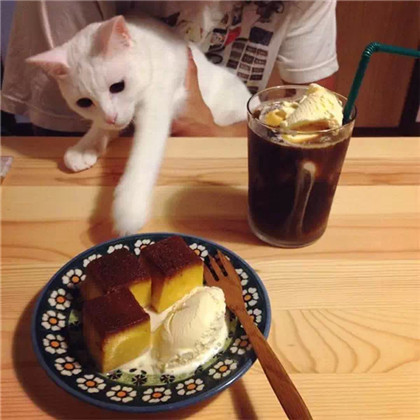 Ĳǲ죬Ҿ㳢òóԶ... ...