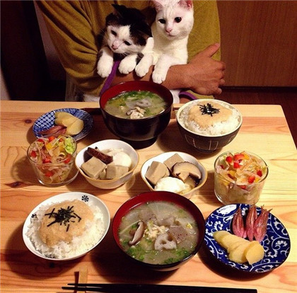 Ĳǲ죬Ҿ㳢òóԶ... ...