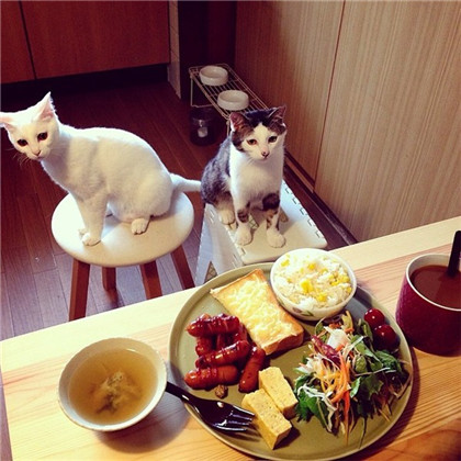 Ĳǲ죬Ҿ㳢òóԶ... ...