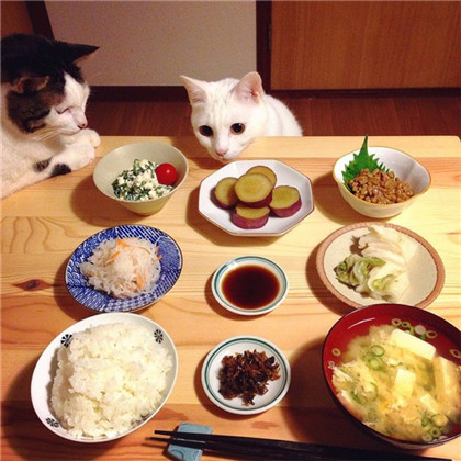 Ĳǲ죬Ҿ㳢òóԶ... ...