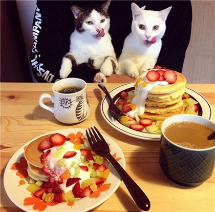 Ĳǲ죬Ҿ㳢òóԶ... ...