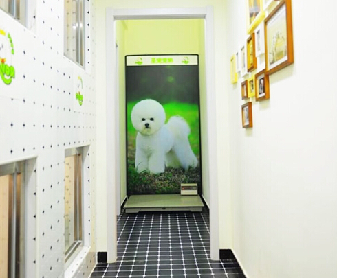 桂林加盟开宠物店怎么样