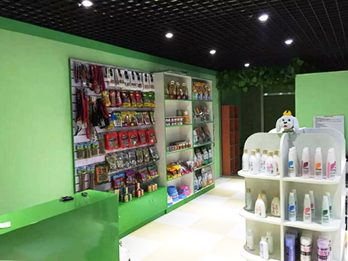 贵港开宠物店多少钱